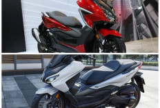 Sebelum Membeli Honda Forza 250, Ini Deretan Kelebihan dan Kekurangannya
