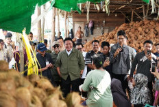 Herman Deru Tinjau Dermaga Kelapa Musi 2, Pastikan Potensi Ekspor Kelapa Sumsel Terus Berkembang