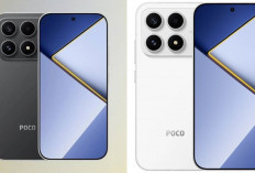 Review POCO X8s Terbaru: Desain Modern, Performa Kencang, dan Fitur yang Layak Dinantikan!