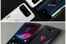 ASUS & ROG Phone 2026: Pilihan HP Terbaru yang Wajib Kamu Cek!