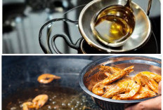 Jangan Asal Pakai! Begini Cara Sederhana Mengecek Kualitas Minyak Goreng di Rumah