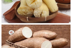 4 Khasiat Singkong untuk Kesehatan Tubuh dan Tips Mengolahnya dengan Benar