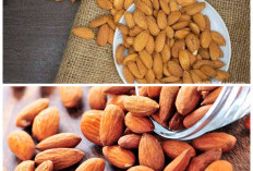14 Khasiat Kacang Almond untuk Menjaga Kesehatan Tubuh Secara Alami