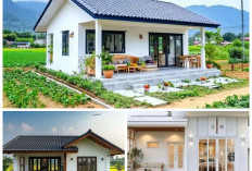 5 Inspirasi Desain Teras Estetik yang Bikin Tampilan Rumah Makin Menawan dan Instagramable!