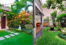 Desain Taman Bali Tropis, Rahasia Rumah Terasa Lebih Asri dan Mewah!