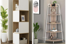 Tips Menata Rak Sudut Minimalis agar Ruang Tamu Lebih Elegan dan Fungsiona