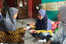 Holding Ultra Mikro Terbukti Tingkatkan Kesejahteraan