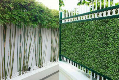 Inspirasi Tanaman Pagar Rumah yang Rindang dan Estetik, Cocok untuk Semua Gaya!