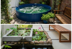 Halaman Sempit Jadi Produktif: Inspirasi Desain Kolam Ikan Nila di Belakang Rumah