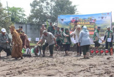 Gerakan Tanam Serentak di Lahan Oplah, Wawako : Berkolaborasi Percepat Produksi Pertanian di Pagar Alam