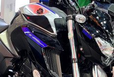 Yamaha FZ25 2026 Resmi Meluncur Global, Tampil Lebih Modern dengan Konektivitas Canggih, Ini Dia Speknya!