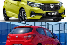 Honda Brio Satya Dominasi LCGC 2026, Kompetitor Mulai Tertekan?