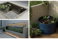 Budget Tipis, Rumah Tetap Hidup! 10 Model Kolam Ikan Minimalis yang Bisa Ditiru