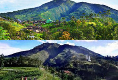 Mitos Jalur Pendakian Purba: Mengapa Gunung Bismo Dieng Dikenal Kental dengan Nuansa Spiritual?