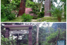 Taman Nasional Gunung Leuser, Surga Alam Sumatra yang Menyimpan Sejarah, Satwa Langka, dan Destinasi Wisata!