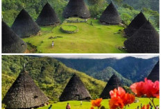 5 Tradisi Khas Nusa Tenggara Timur yang Masih Dilestarikan Hingga Kini