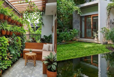 Desain Rumah Kecil dengan Area Hijau Mini agar Terasa Sejuk dan Nyaman!